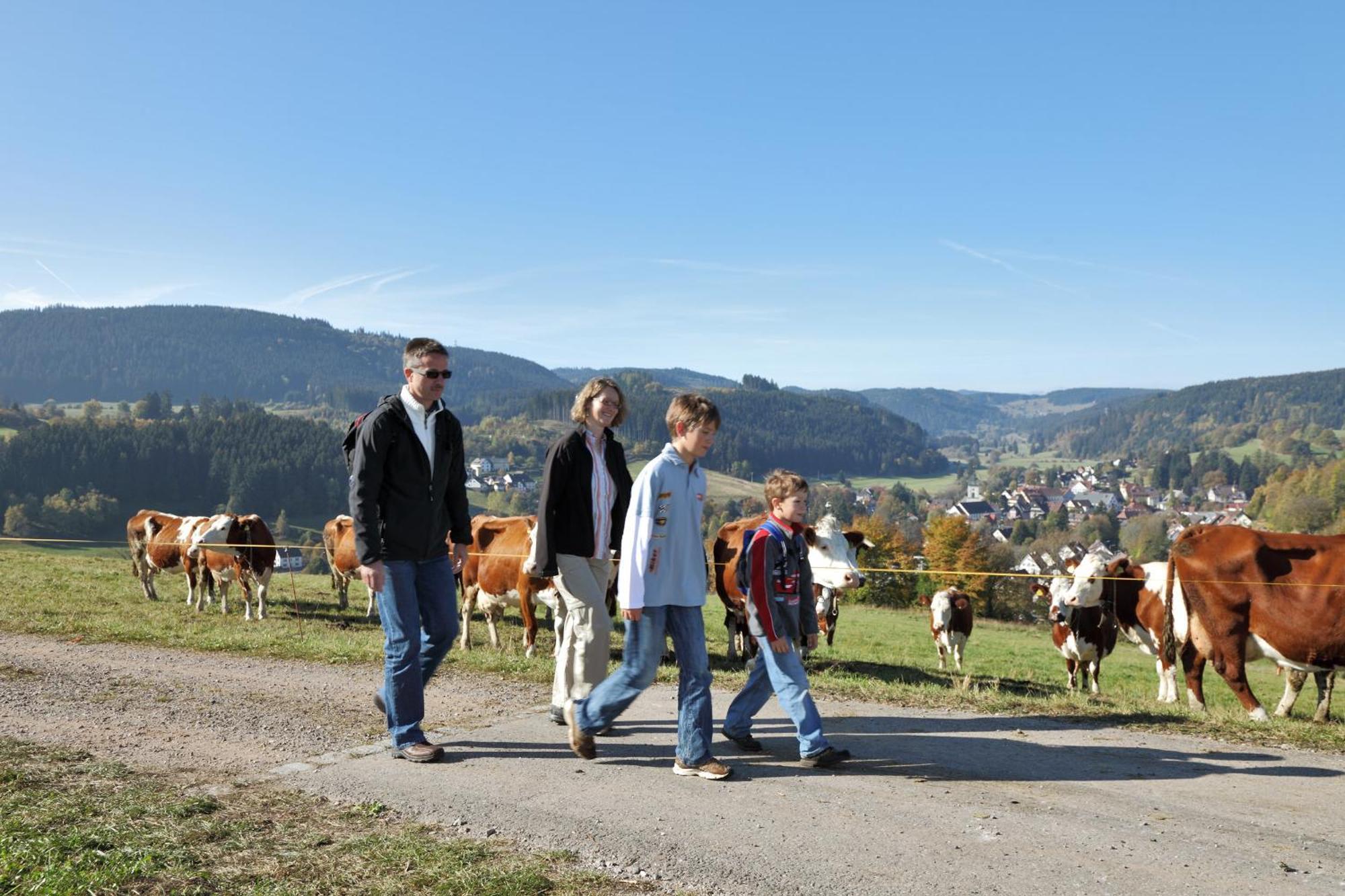 Pension Waldwinkel Lenzkirch Bagian luar foto